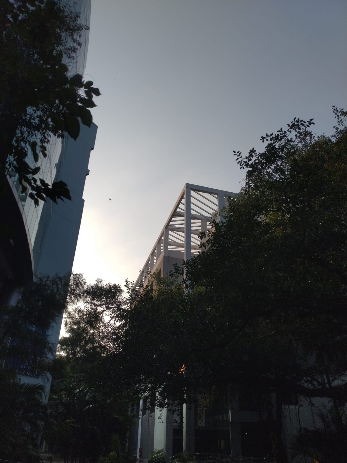 Instigram Photo Gallery