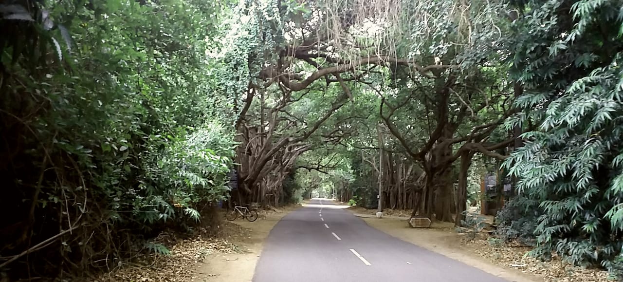 Instigram Photo Gallery
