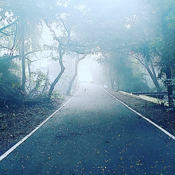 Instigram Photo Gallery