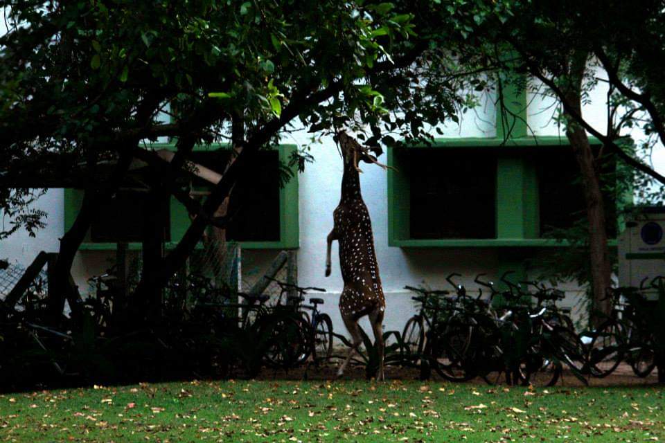 Instigram Photo Gallery