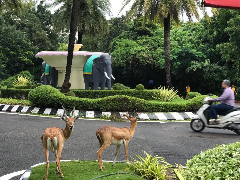 Instigram Photo Gallery