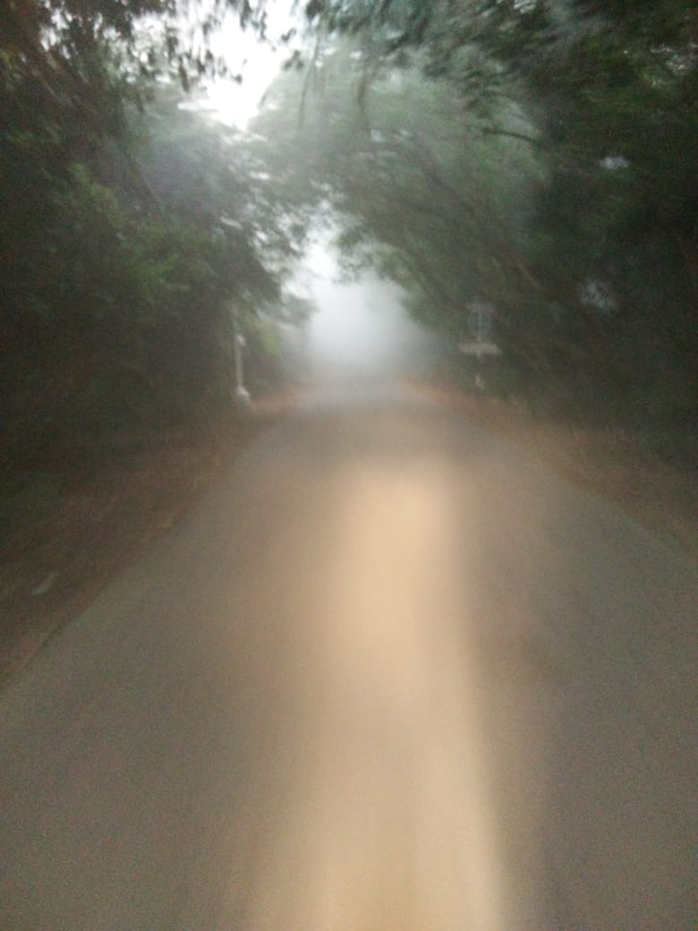 Instigram Photo Gallery