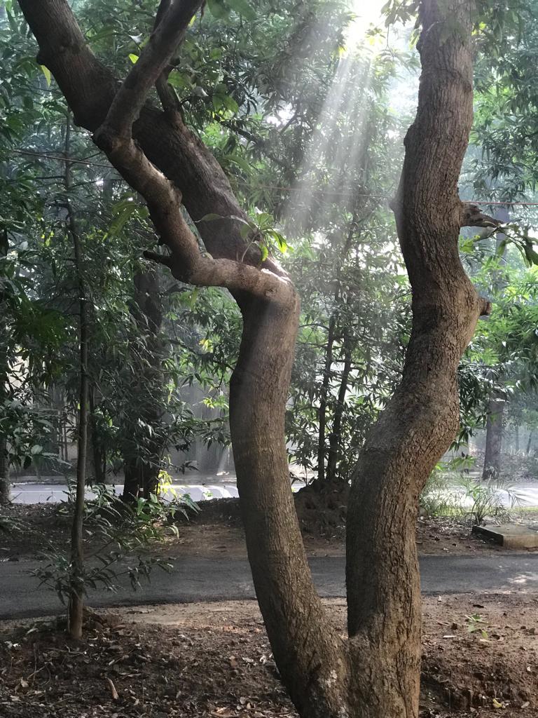 Instigram Photo Gallery
