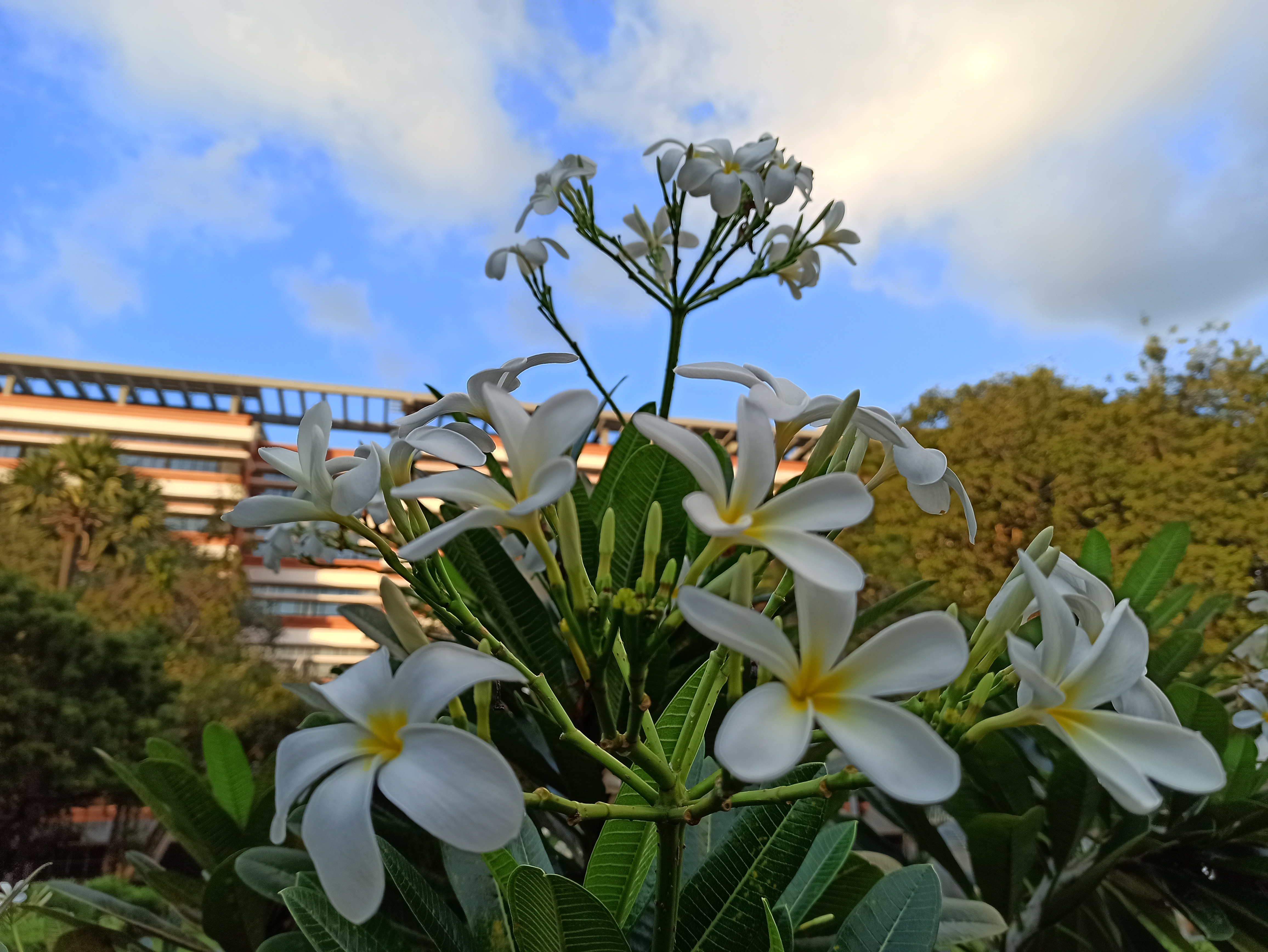 Instigram Photo Gallery