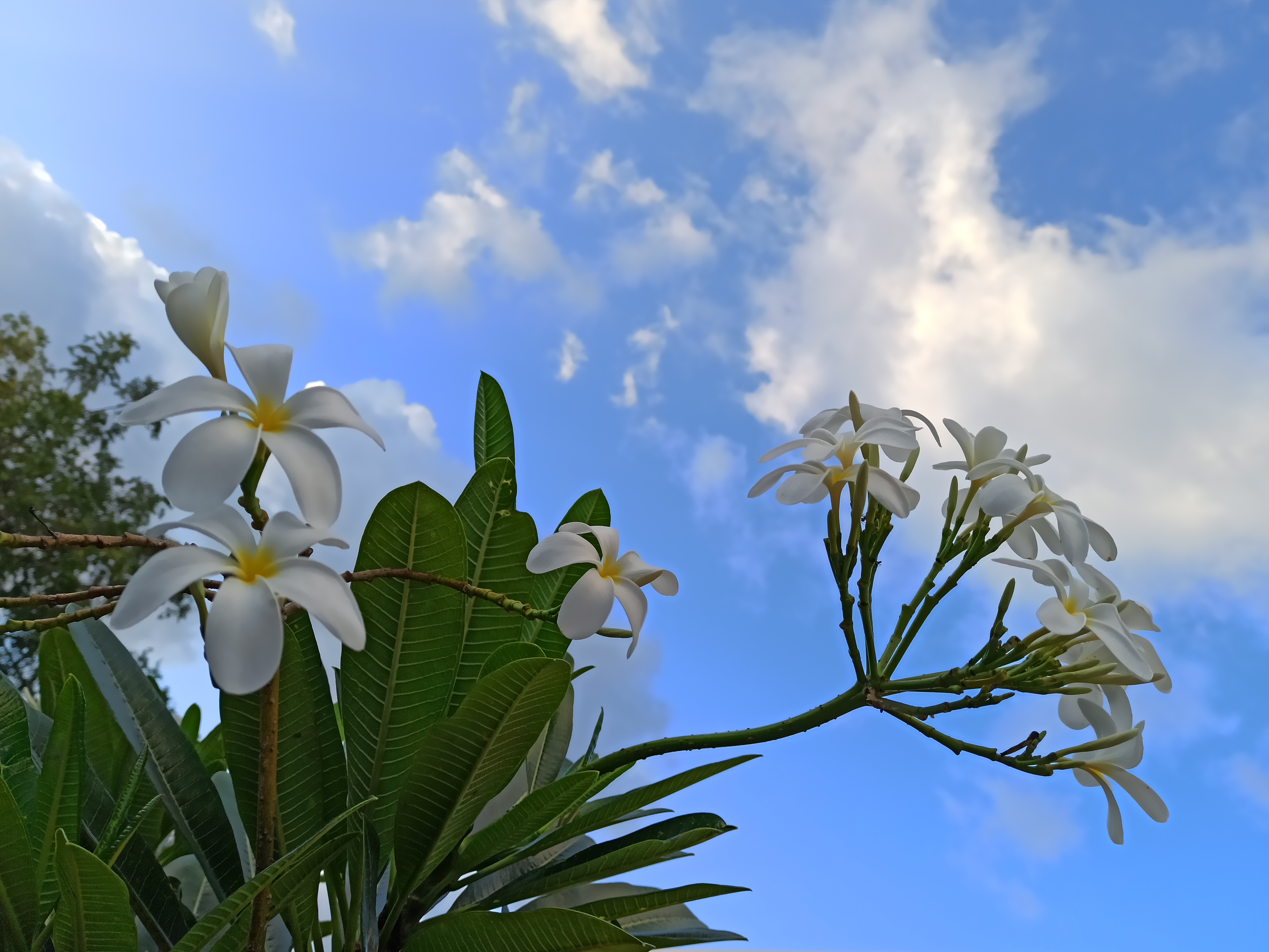 Instigram Photo Gallery