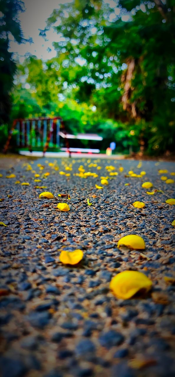 Instigram Photo Gallery