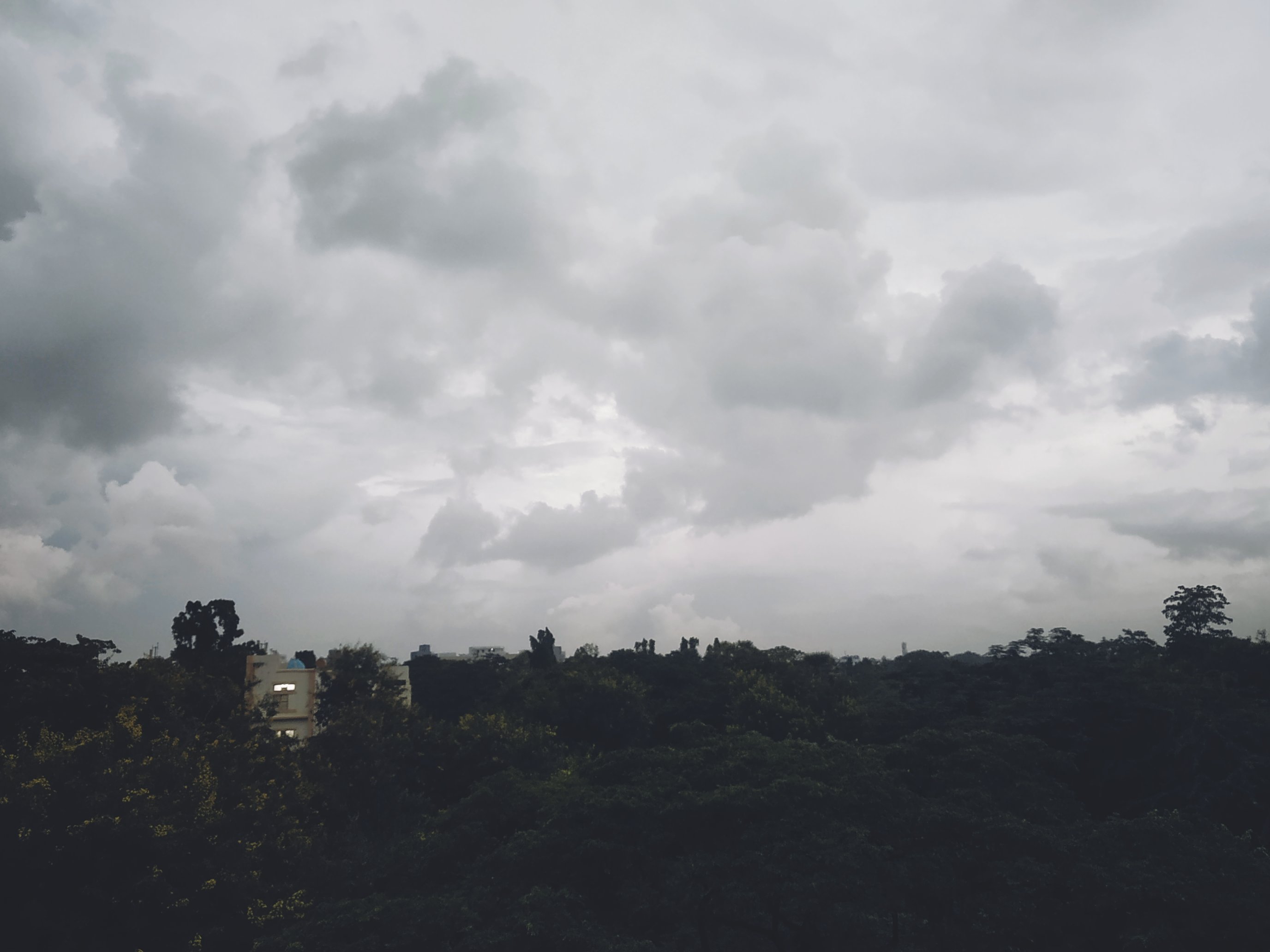Instigram Photo Gallery