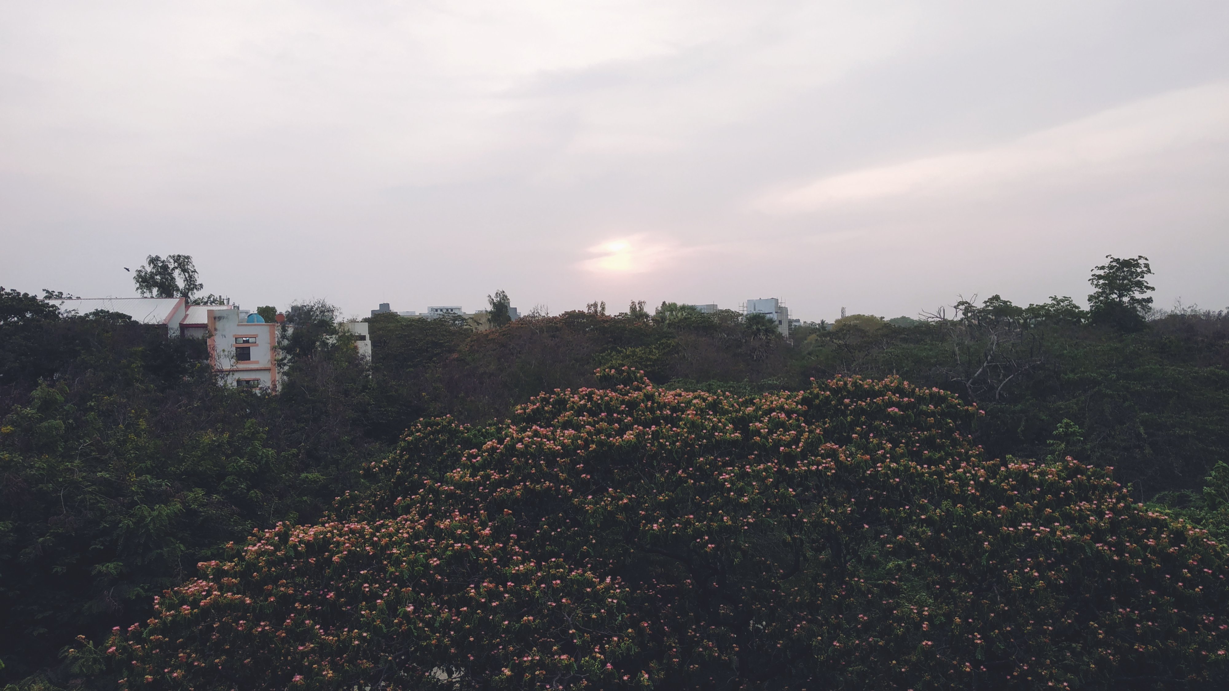 Instigram Photo Gallery