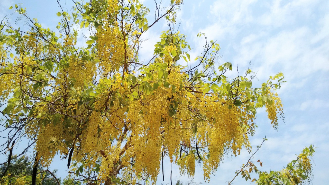 Instigram Photo Gallery