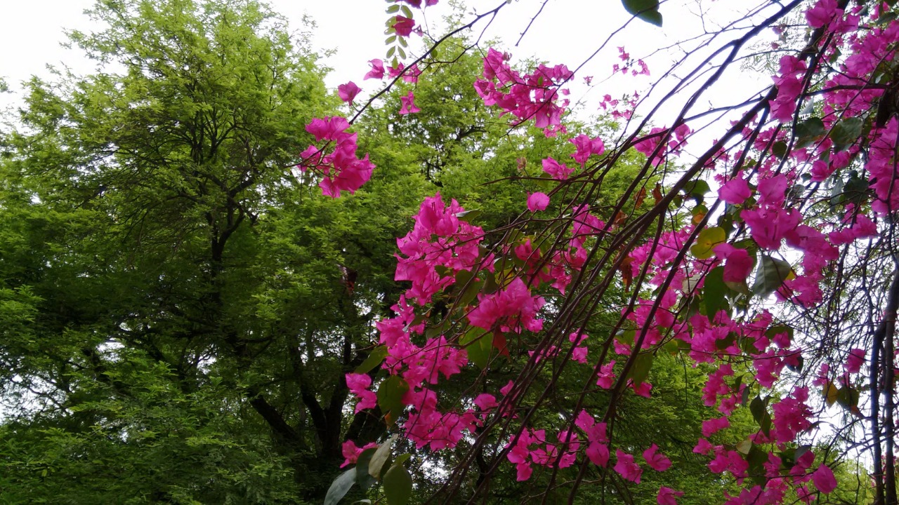 Instigram Photo Gallery