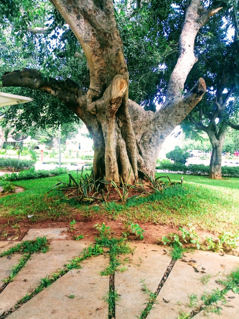 Instigram Photo Gallery