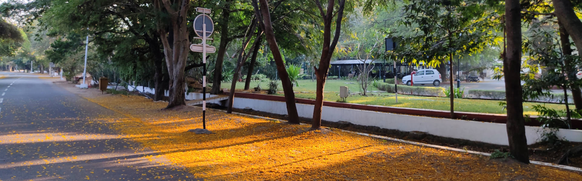 Road in IITM campus