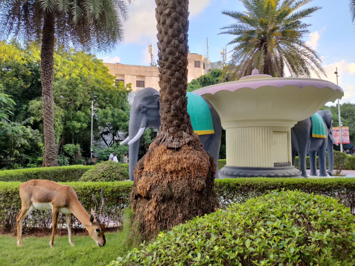 The buck, Gajendra Circle  and library in one shot...the three epic things in our campus
