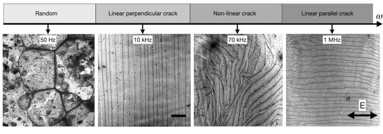 Desiccation Cracks in Colloidal Films: Role of External Fields