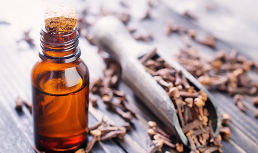 Combat Cancer with Clove Oil