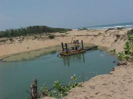 IIT Madras Researchers help Chilika Lake in Odisha to triple Irrawaddy Dolphin Population