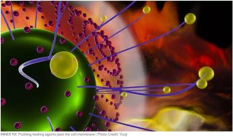 Nano-transporters. Advancements in drug delivery inside cells