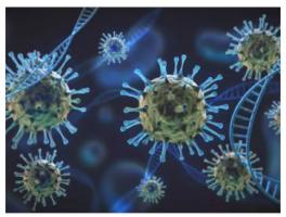 IIT Madras researchers develop database on coronavirus antibodies