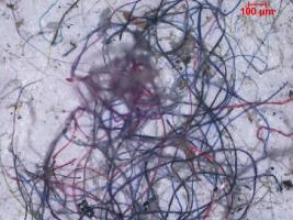 IIT Madras Review identifies Residential Houses as a major point source of Microplastics Pollution