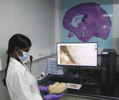 IIT Madras Distinguished Alumnus Mr. Prem Watsa donates US$ 5 Million for Brain Research