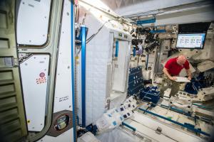 IIT Madras and NASA Jet Propulsion Laboratory researchers study microbial interactions taking place in the…