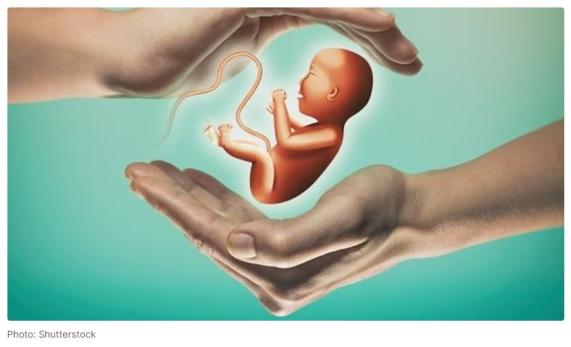 IIT Madras researchers develop AI model to determine the age of a foetus IIT Madras researchers develop AI model to determine the age of a foetus