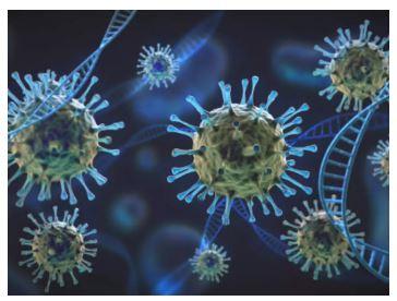 IIT Madras researchers develop database on coronavirus antibodies IIT Madras researchers develop database on coronavirus antibodies