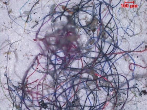 IIT Madras Review identifies Residential Houses as a major point source of Microplastics Pollution
