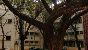 View of Classroom complex