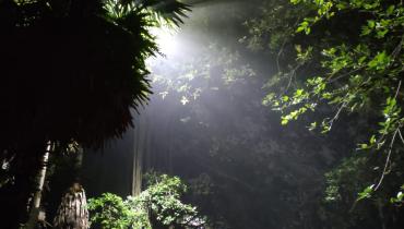 Instigram Photo Gallery