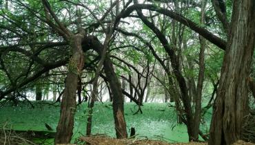 Instigram Photo Gallery