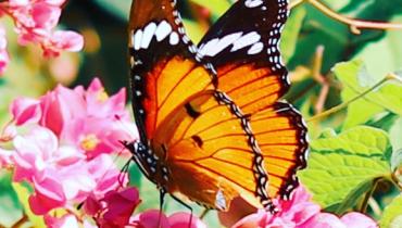 Instigram Photo Gallery