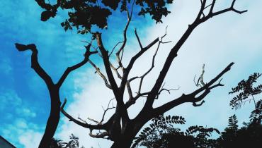Instigram Photo Gallery