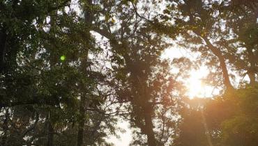 Instigram Photo Gallery
