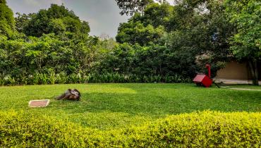 Instigram Photo Gallery