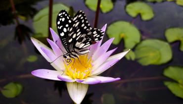 Instigram Photo Gallery