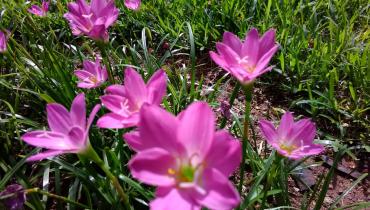 Instigram Photo Gallery