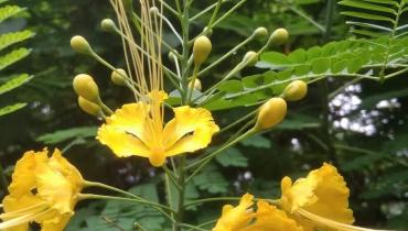 Instigram Photo Gallery