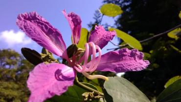 Instigram Photo Gallery
