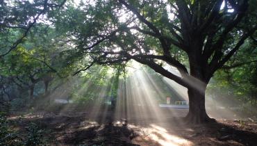 Instigram Photo Gallery