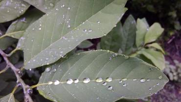 Instigram Photo Gallery