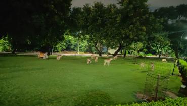 Instigram Photo Gallery