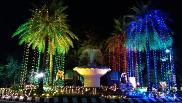 Instigram Photo Gallery
