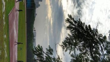 Instigram Photo Gallery