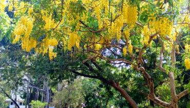 Instigram Photo Gallery