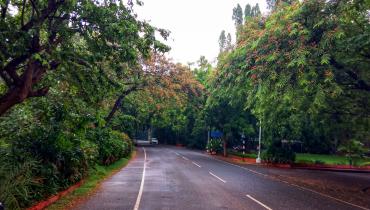 Instigram Photo Gallery