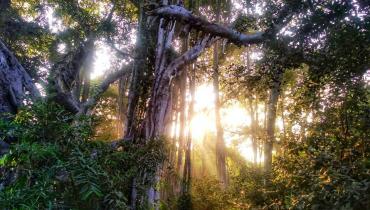 Instigram Photo Gallery