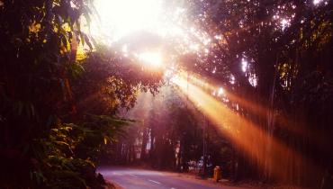 Instigram Photo Gallery