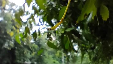 Instigram Photo Gallery