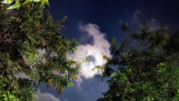 Instigram Photo Gallery